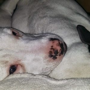 Meet your Posher, Brad